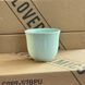 Чашка для кави Loveramics Brewers Embossed Tasting Cup 150 мл Celadon Green 2874841312 фото 2